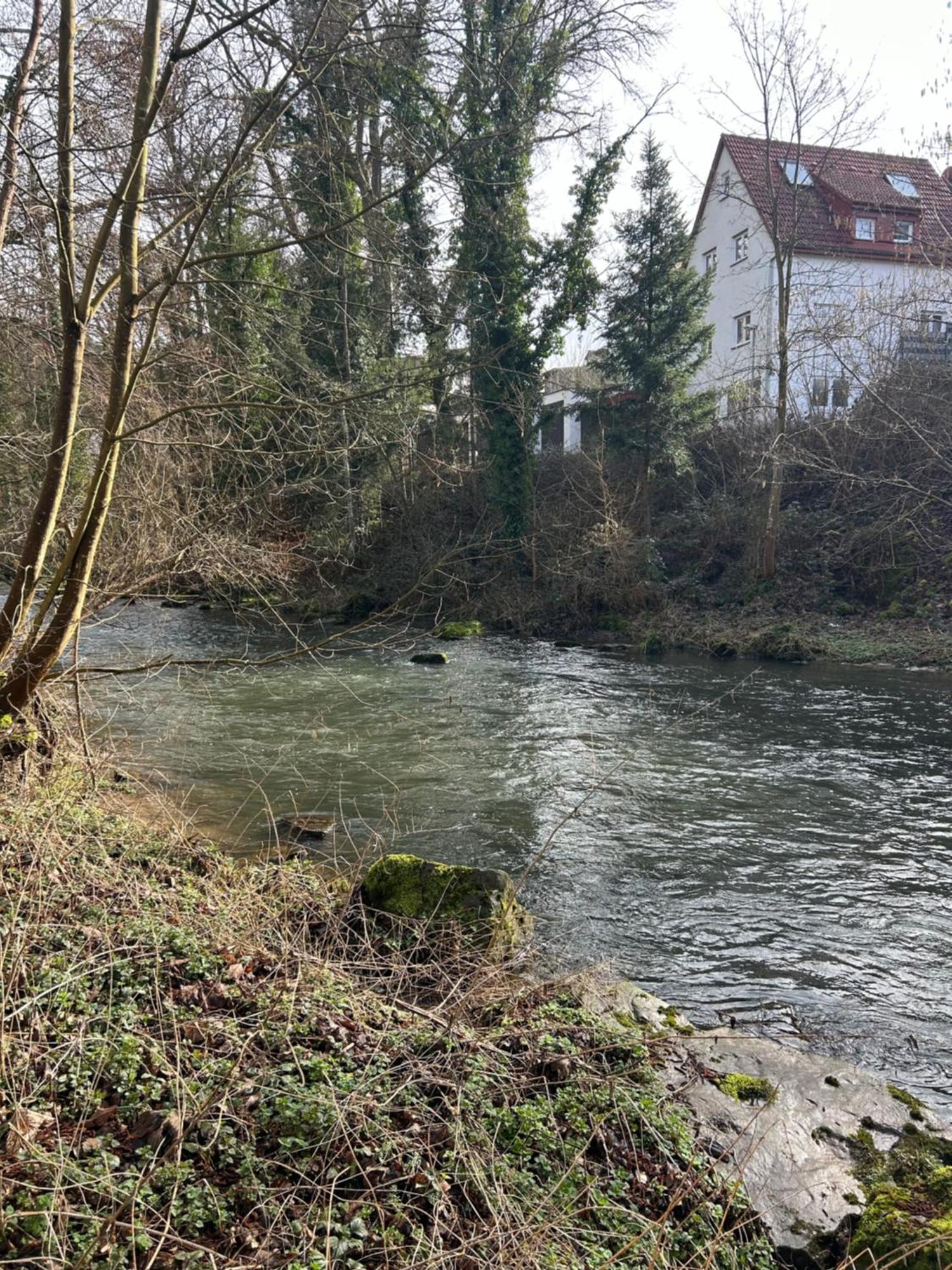 Villa Am Fluss بفورتسهايم المظهر الخارجي الصورة