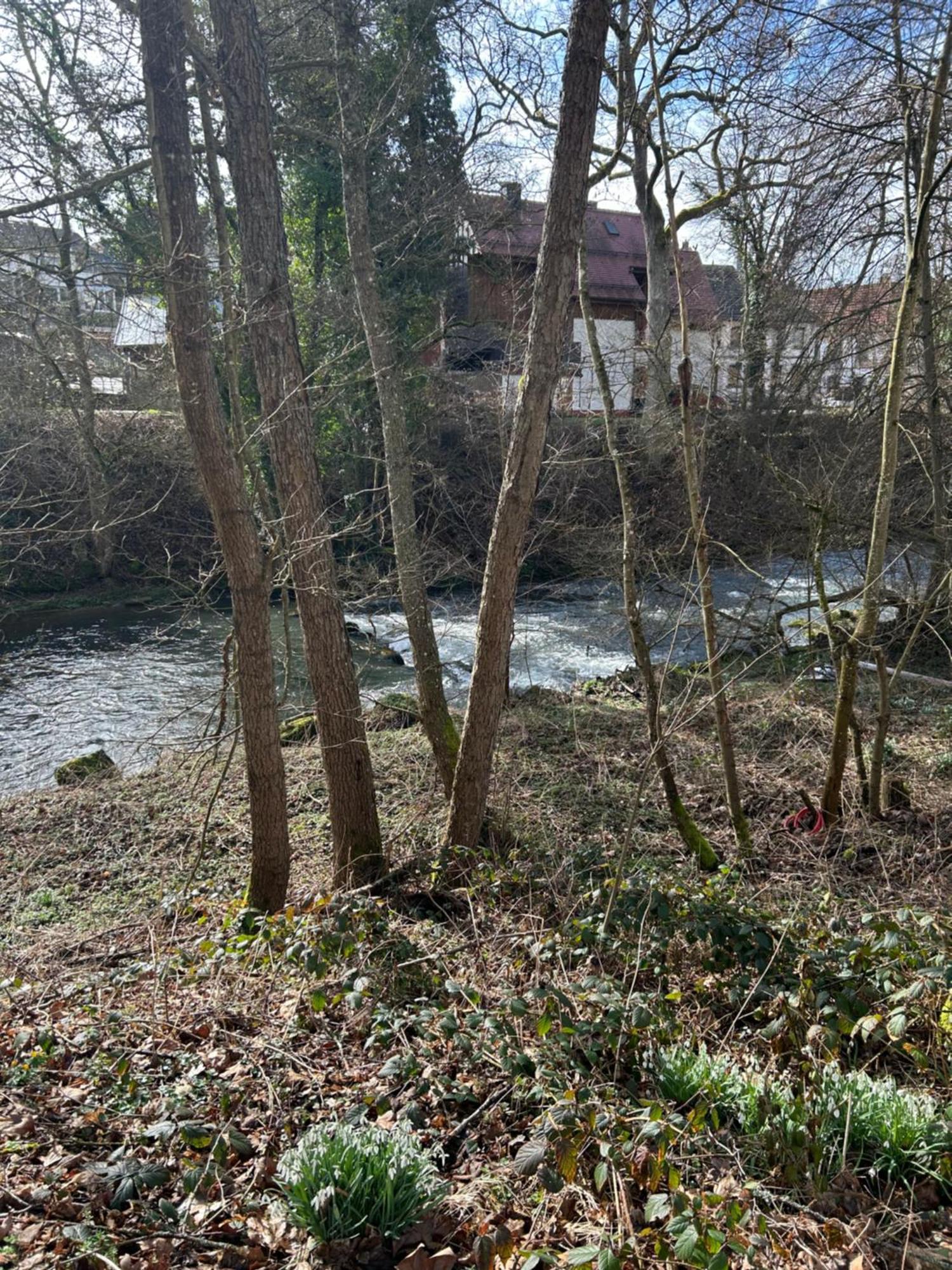 Villa Am Fluss بفورتسهايم المظهر الخارجي الصورة